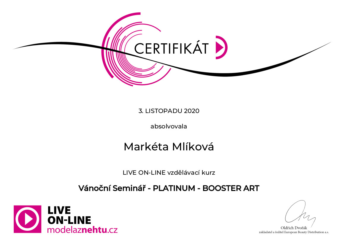 Certifikát Platinum - Vánoční Seminář - Booster Art | Markéta Mlíková
